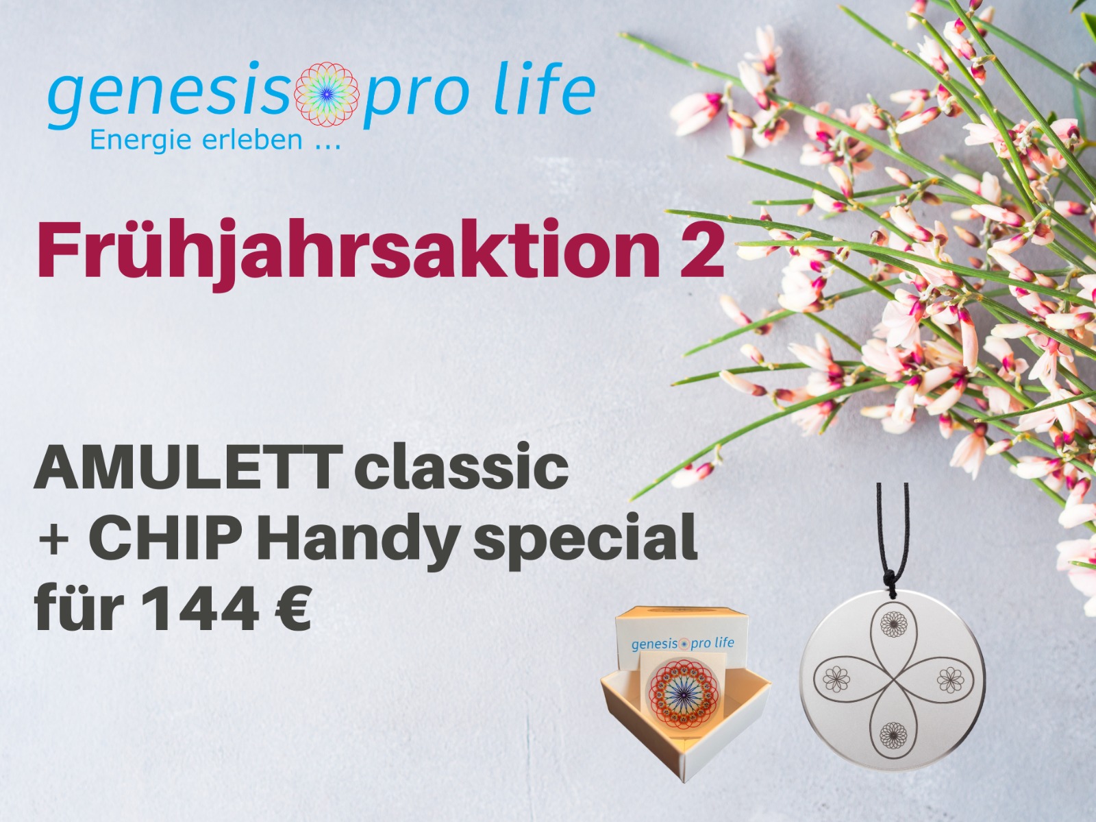 Frühjahrsaktion-2-2026