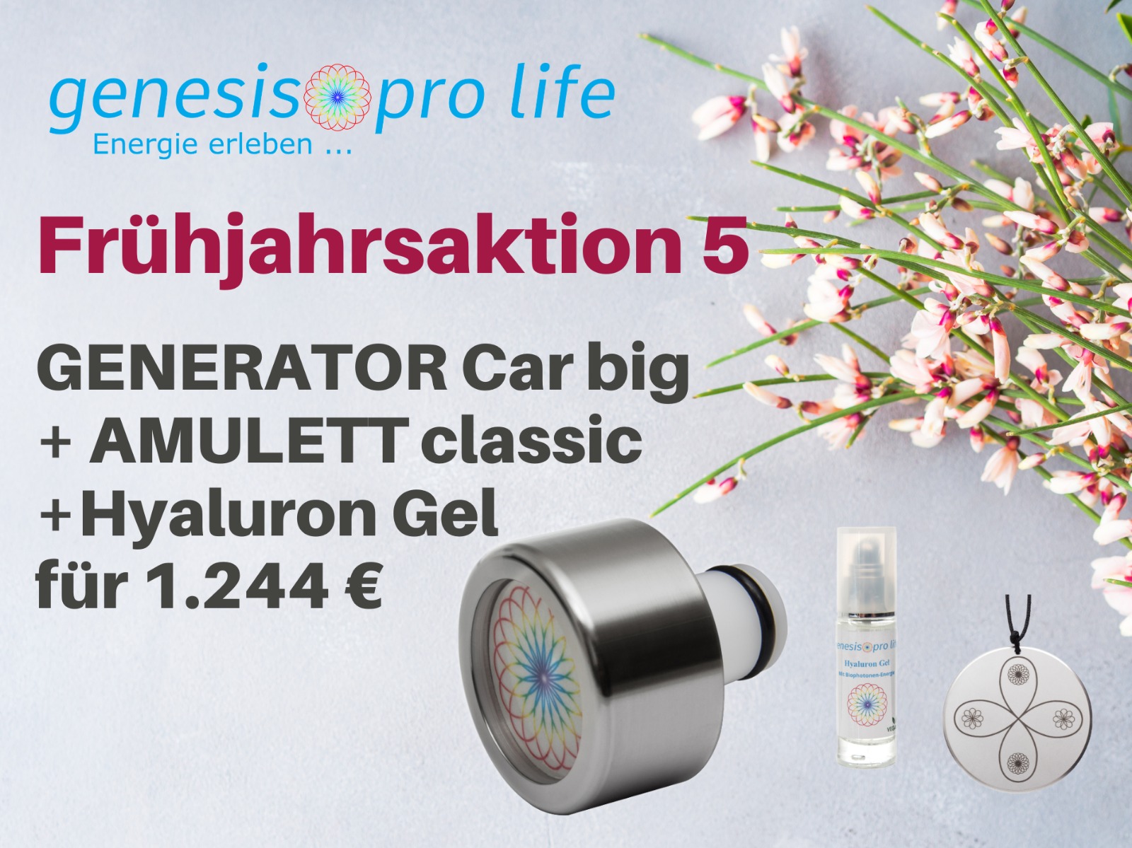 Frühjahrsaktion-5-2026