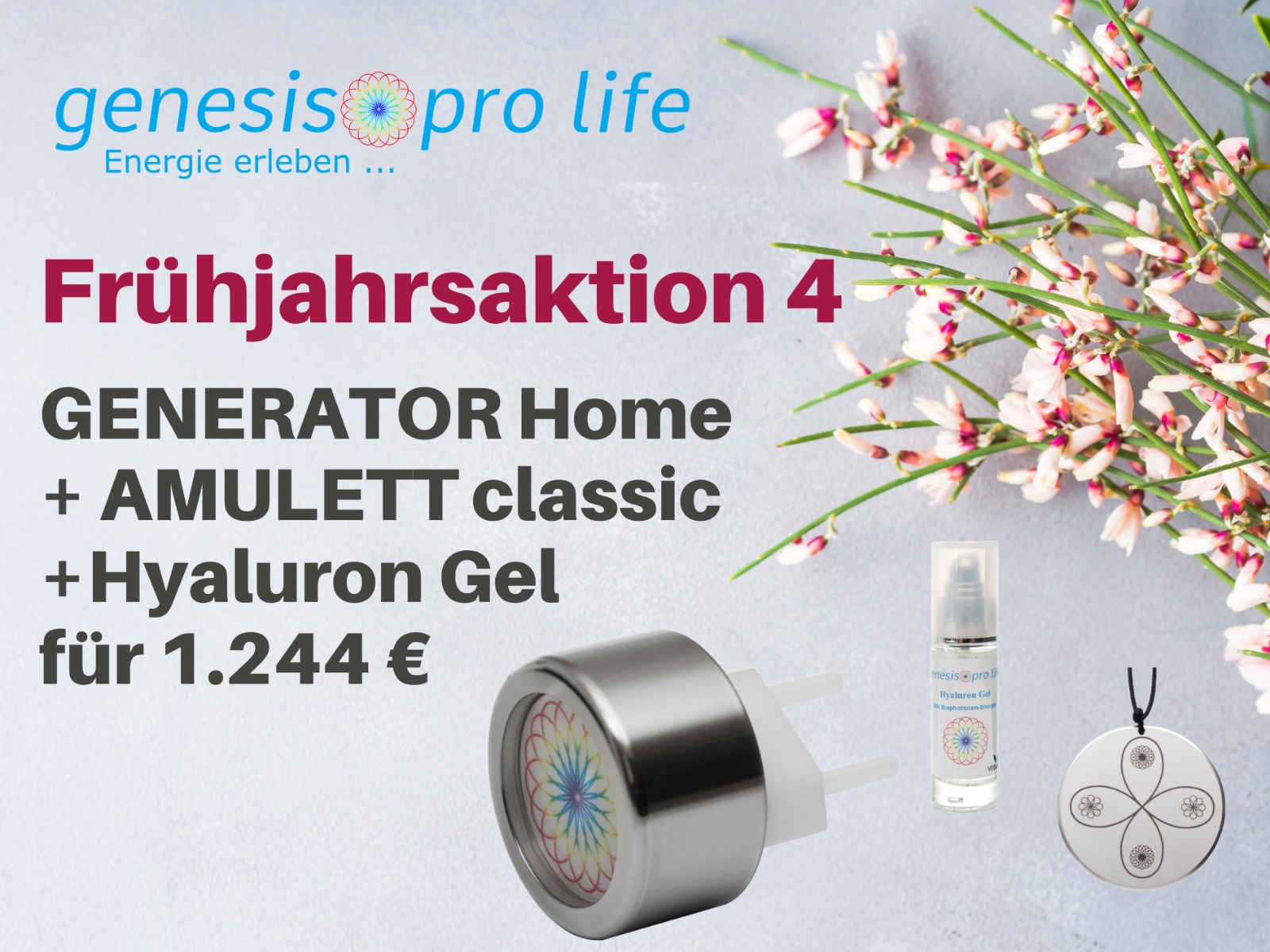 Frühjahrsaktion-4-2026